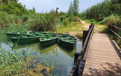 Descubre la Marjal de Pego-Oliva: Un Asombroso Paraíso Natural en la Comunidad Valenciana